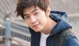 圈内爆料陈哲远在追李兰迪