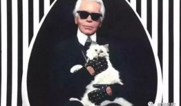 法国记者爆料老佛爷视频